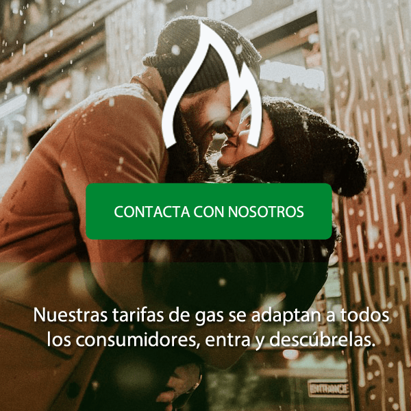 bardelec-ahorro-gas